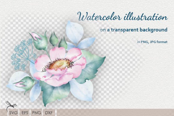 Download Watercolor Floral Illustrations Rosehip - Illustrations Collection